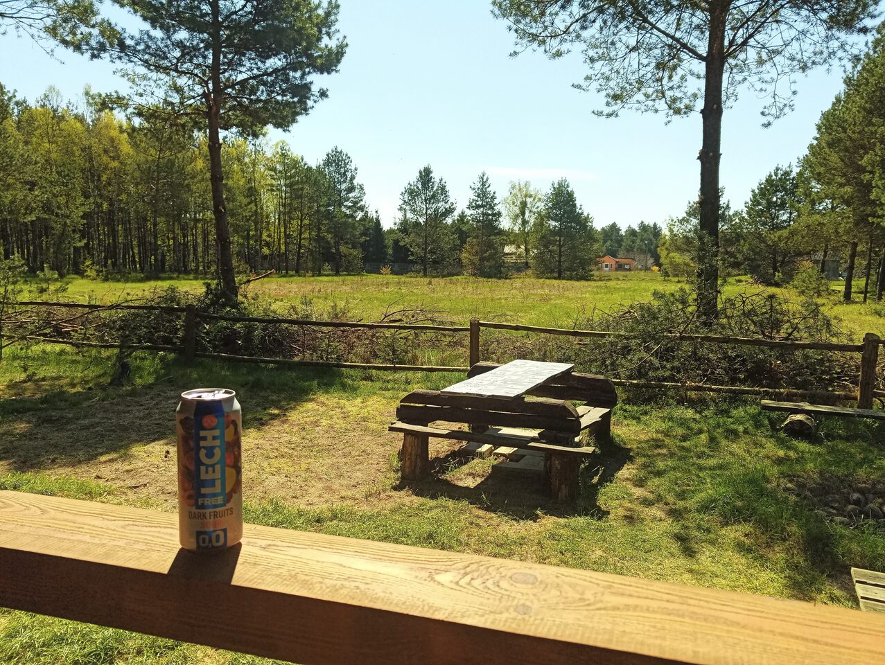 Działka leśna na sprzedaż