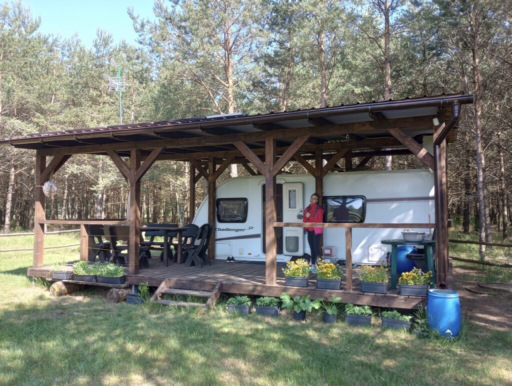 Działka leśna na sprzedaż