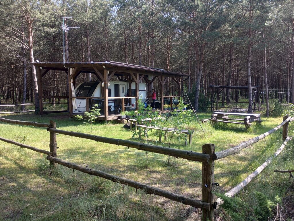 Działka leśna na sprzedaż