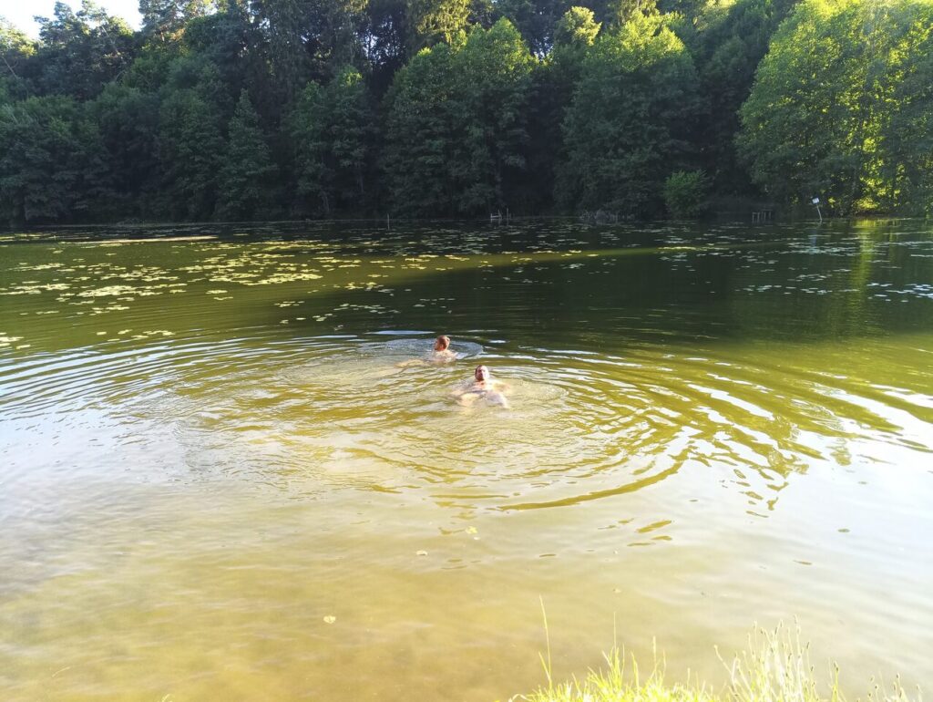 Sprzedam las nad wodą